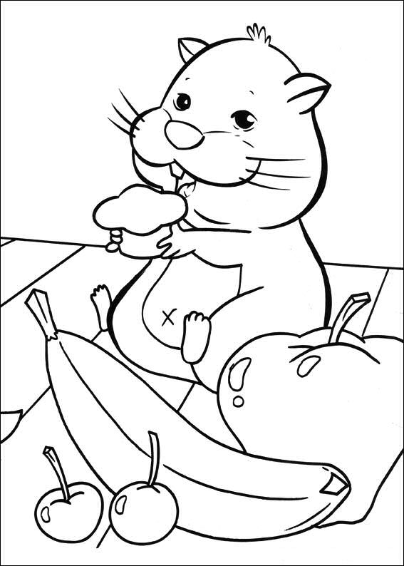 Plansa de colorat cu Hamsteri 63 60